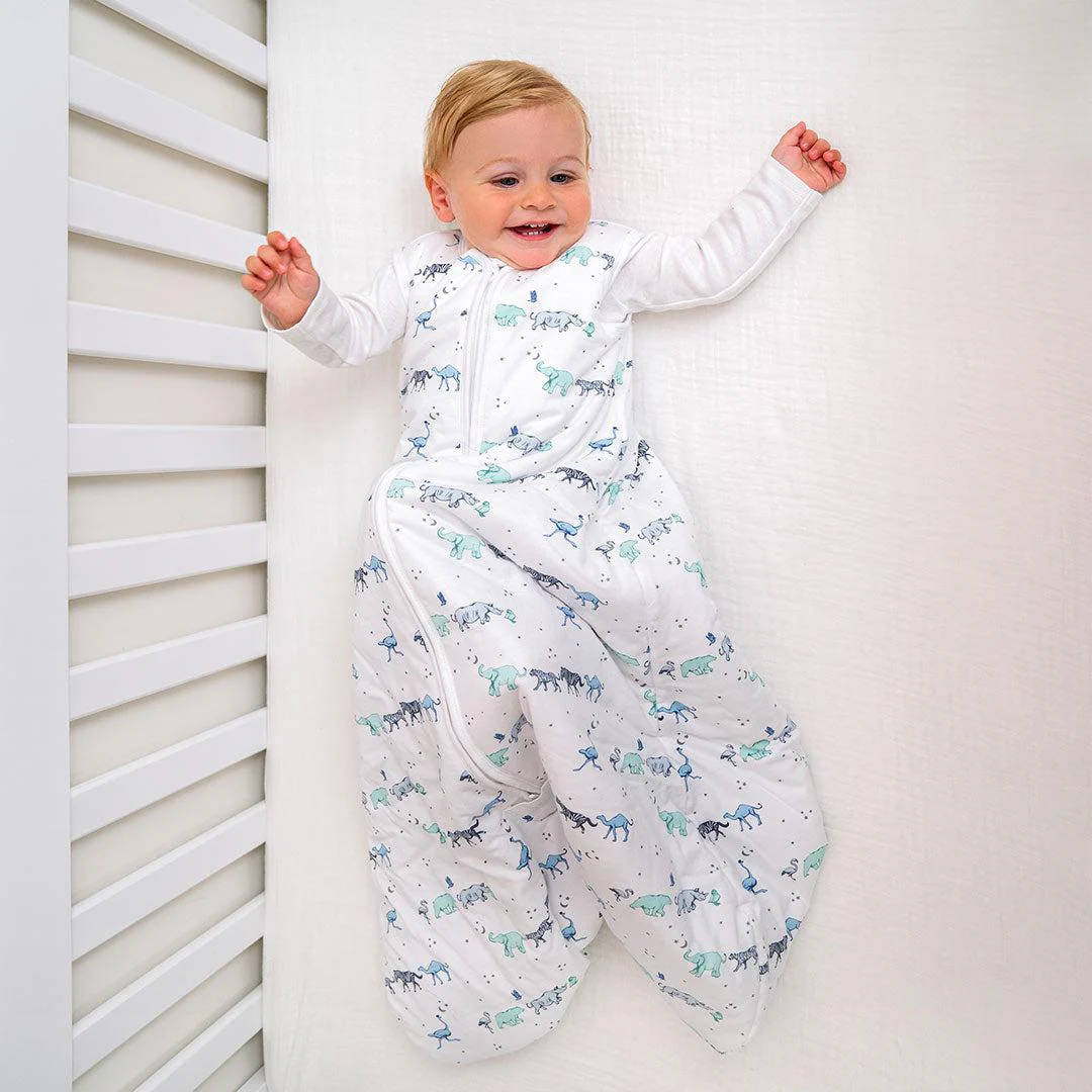 aden + anais Winter Sleeping Bag 2.5 TOG - Rising Star - Image 4