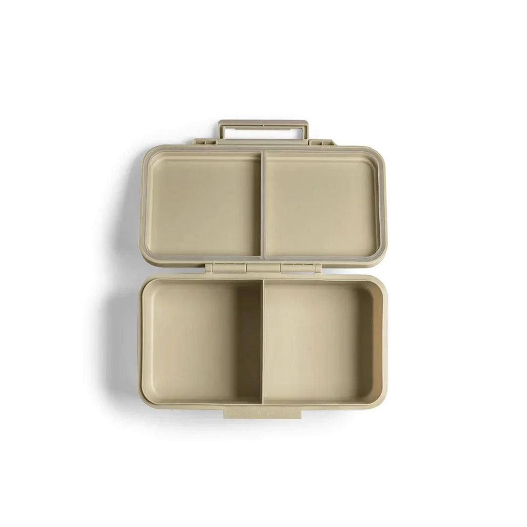 Citron Rectangle Lunchbox - Vehicles - Image 4