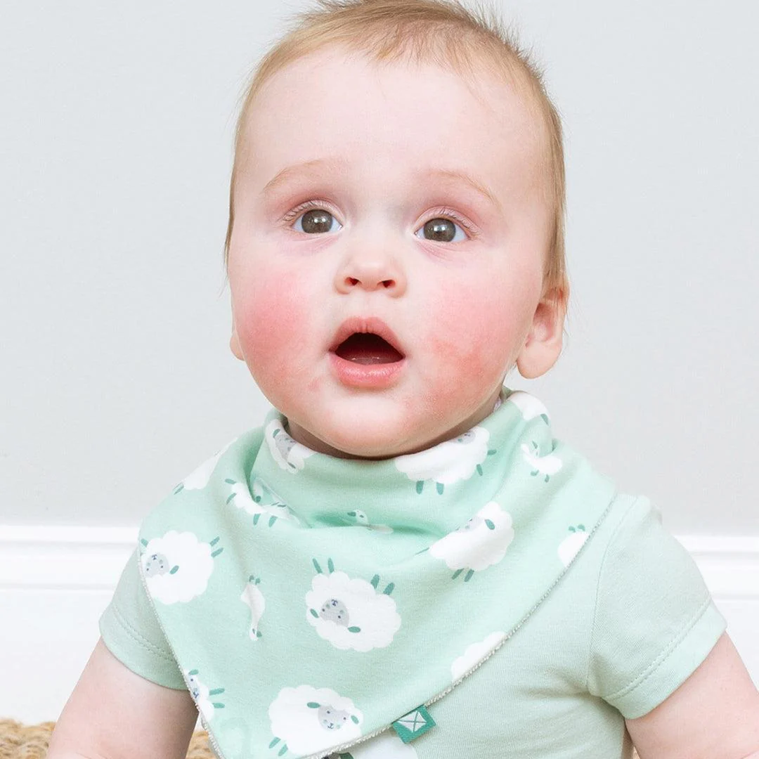 Kite Dribble Bib - Baa Baa Quack - Image 2