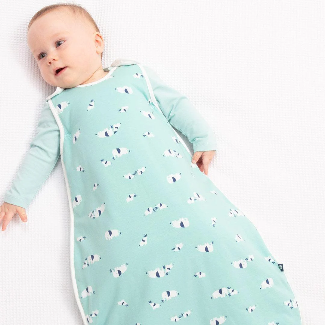 Kite Sleeping Bag - Ele Time - Image 2