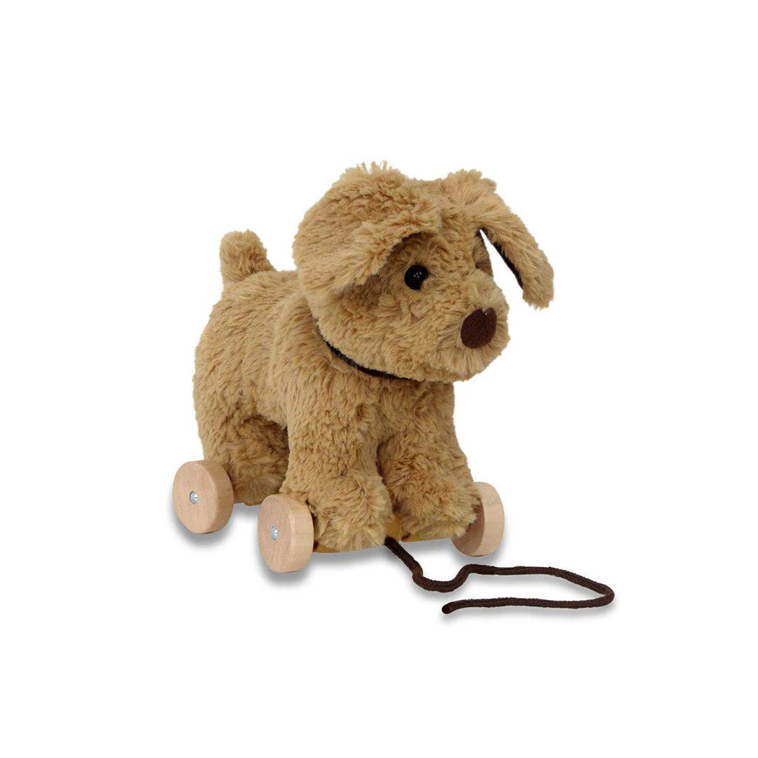 Little Bird Told Me - Pull-Along Dog - Dexter (6m+)