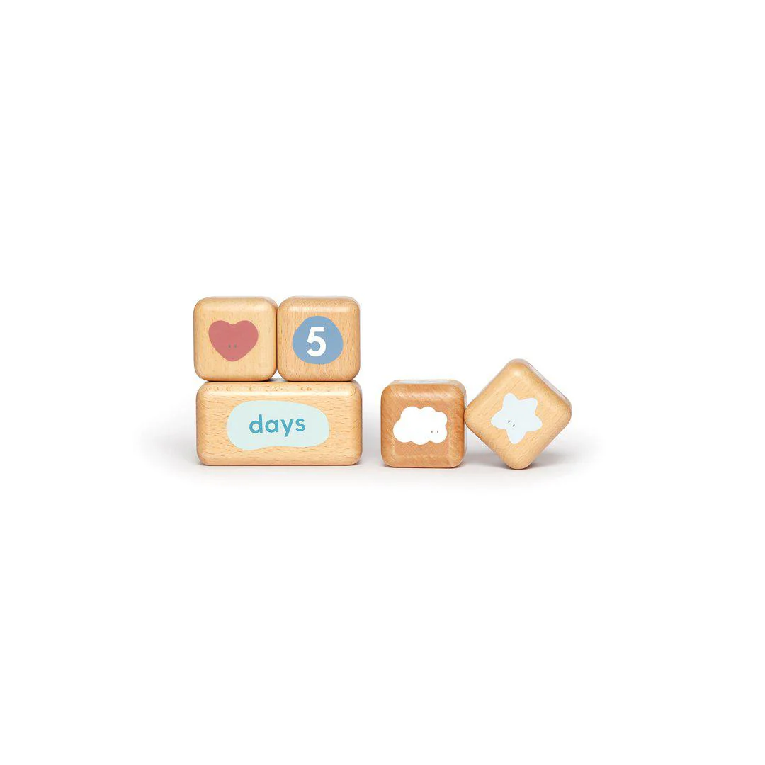 MORI Wooden Milestone Blocks - Multi - Image 3