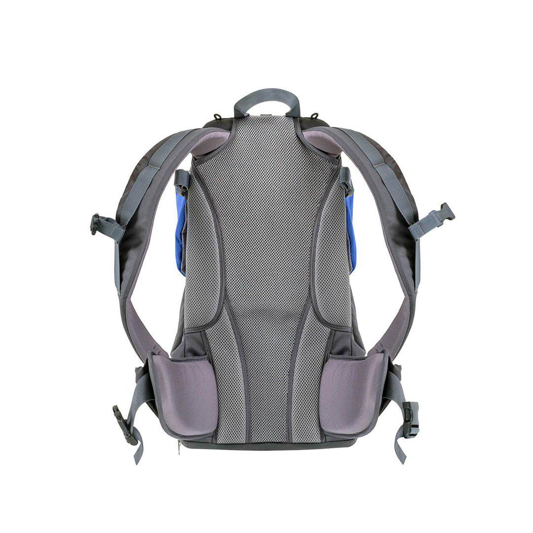 Phil & Teds Parade Baby Carrier - Blue - Image 3