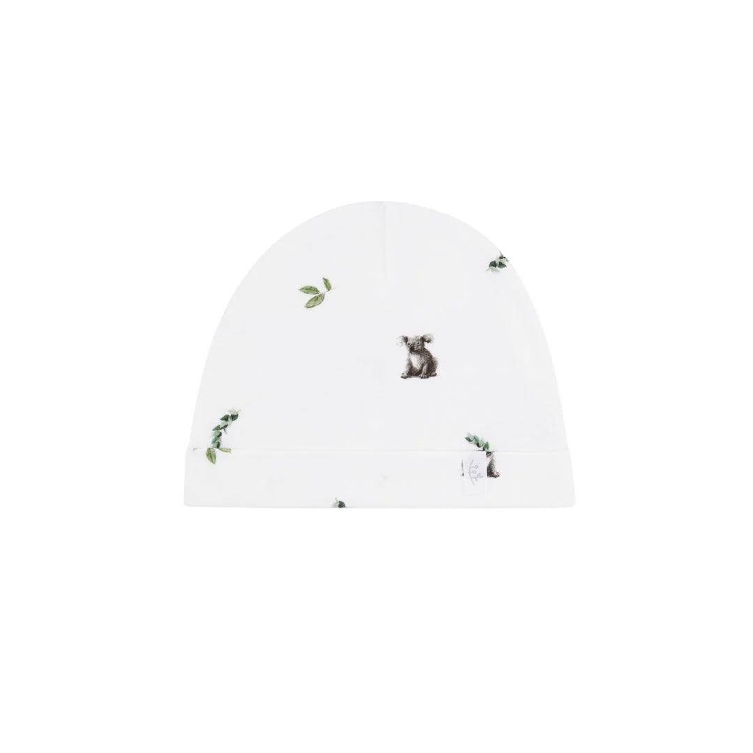 Rosa & Blue Hat - Koala